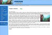 webdesign Poseidon